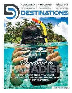 Scuba Diving Training Course